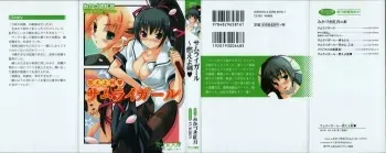 [Mikazuki Kougetsu, YUKIRIN] Samurai Girl Vol. 4 ~ Moeyo Ken manga cover
