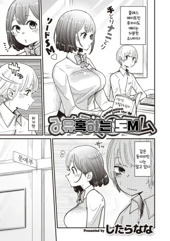 [Shitaranana] Michibiku DoM | 유혹하는 도M (WEEKLY Kairakuten Vol. 38) [Korean] [그럴수도있지] manga cover