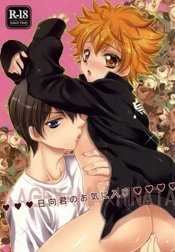 (C87) [Lovesugi (Fukai Maro)] Hinata-kun no Okiniiri (Haikyuu!!) manga cover