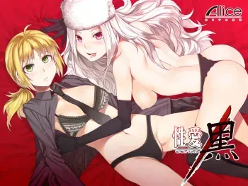 [Alice no Takarabako (Mizuryu Kei)] Seiai Black (Fate/Zero) manga cover