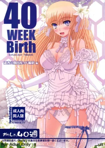 (C88) [Shiawase Kyouwakoku (Shiawase no Katachi)] Katashibu 40-shuu + Kaijou Genteibon [English] [P²-Translations] manga cover