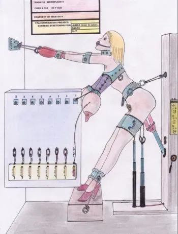 The fate of Barbara manga cover