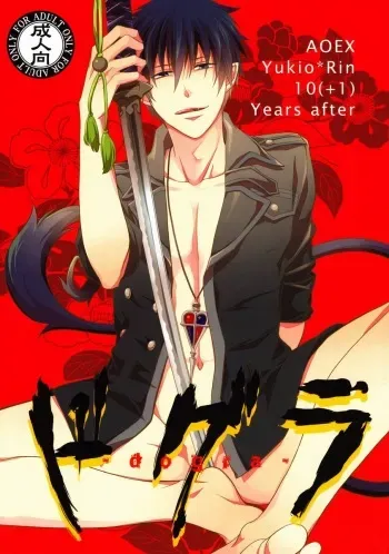 (C82) [FIZZCODE (Satonishi)] Dogra (Ao no Exorcist) manga cover