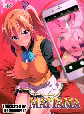 (C91) [Shinjugai (Takeda Hiromitsu)] Maitama (Musaigen no Phantom World) [English] [Tremalkinger] manga cover