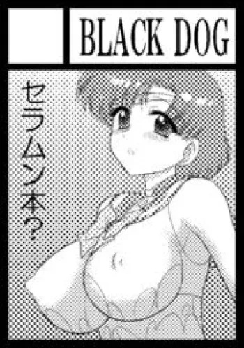 [Black Dog_Kuroinu Juu] Some Other Pictures manga cover