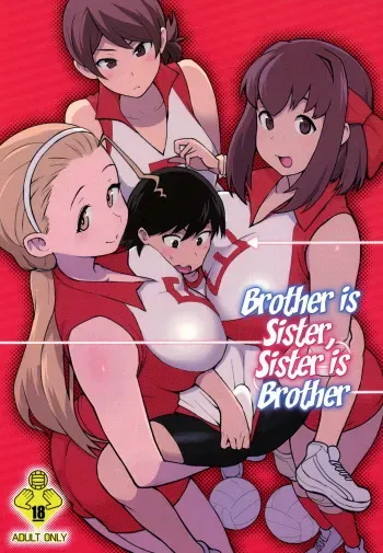 (C92) [Kakuzato-ichi (Kakuzatou)] Ani ga Watashi de Watashi ga Ani de | Brother is Sister, Sister is Brother (Girls und Panzer) [German] [uxo90] manga cover