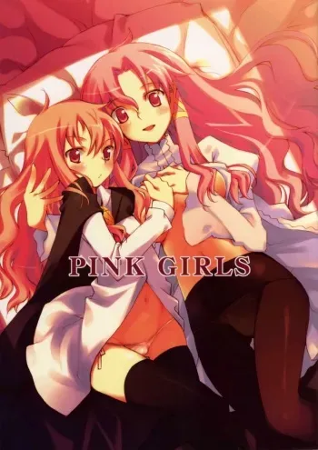 (C72) [Hannama (Inato Serere,Soine)] PINK GIRLS (Zero no Tsukaima) manga cover