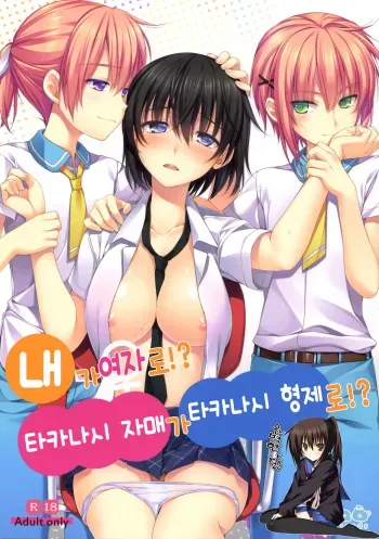 (C86) [Alpha to Yukaina Nakamatachi (Alpha)] Ore ga Onna ni!? Itoko ga Itoko ni!? [Korean] [완벽한 사람] manga cover