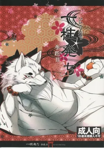 (C85) [Dogear (Inumimi Moeta)] Hitoridachi 3 Bikime (Gingitsune) manga cover