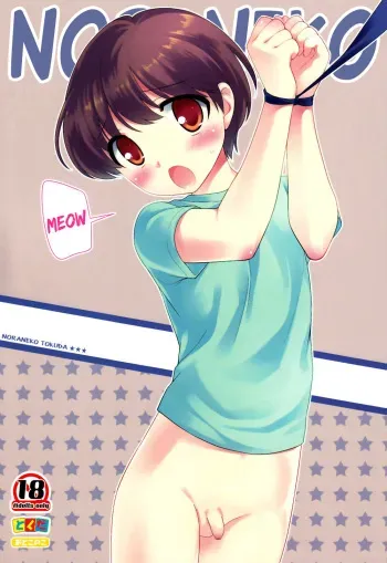 (C84) [Tokuda (Ueda Yuu)] Noraneko [English] {Hataraki Bachi Translations} [Decensored] manga cover
