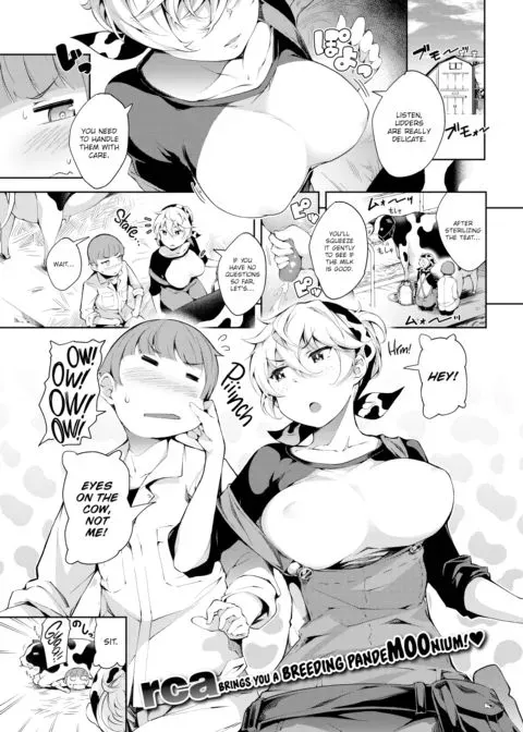 Cowgirl in Heat manga cover