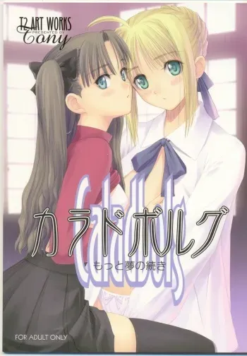 (C66) [T2 ART WORKS (Tony)] Caladbolg Motto Yume no Tsuzuki (Fate/stay night) manga cover