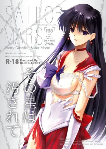 (C100) [Blue Garnet (Serizawa Katsumi)] Sono Hoshi Ha Yogosarete (Bishoujo Senshi Sailor Moon) [Digital] manga cover