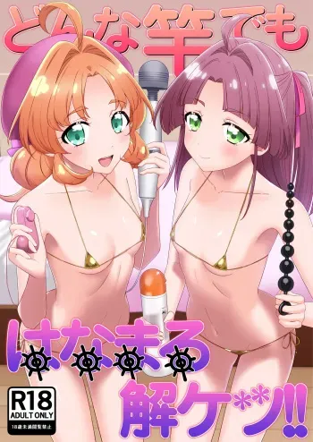 Donna Sao demo Hanamaru Kaiketsu!! / Excellently Solving Any Dick's Problems!! manga cover