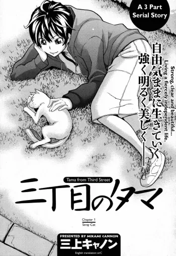 Tama from Third Street Ch.1-3 manga cover
