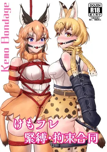 [Rorei Howittonee (Various)] Kemo Fri kinbaku kousoku goudou (Kemono Friends) [Digital] manga cover