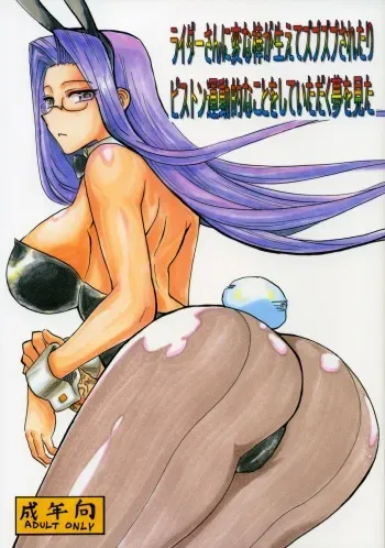 [King Revolver (Kikuta Kouji)] Rider san ni Hen na bou ga haete Zubuzubu saretari Piston undou teki na koto wo shite itadaku yume wo mita (Fate / hollow ataraxia) manga cover