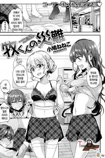 [Kobato Neneko] Maki-kun no Sainan [Korean] [Team Dog Drip] manga cover