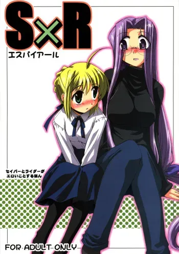 (C70) [YOKOSHIMAYA. (Yokoshima Takemaru)] SxR (Fate/stay night) manga cover