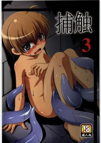 (C81) [Al Dente (Tsuna)] Hoshoku 3 [English] [Superneedles] manga cover