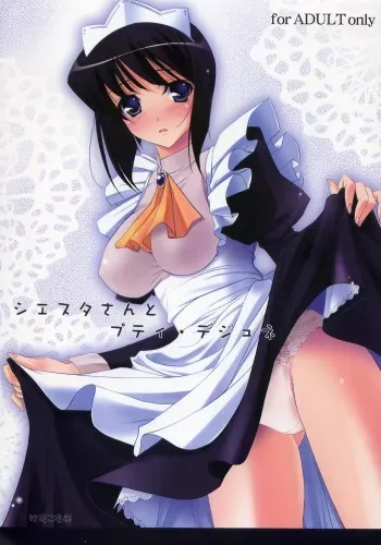 (C72) [Kemokomoya (Komori Kei)] Siesta-san to Petit Dejeuner (Zero no Tsukaima) manga cover