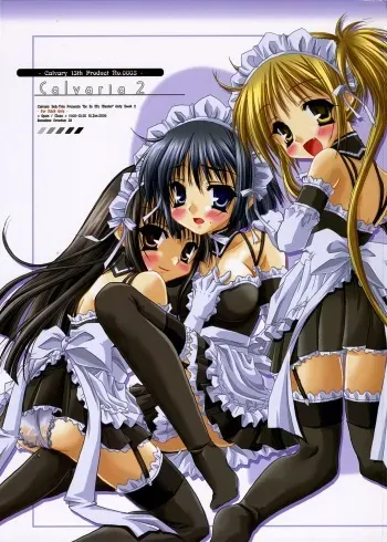 (SC32) [Calvary 13th (Ootsuki Masshiro)] Calvaria 2 (He Is My Master) manga cover