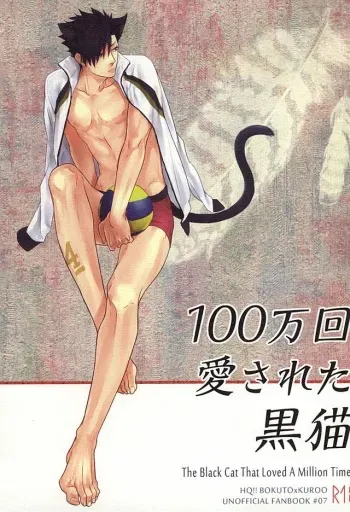 (Kuroneko Sanmai) [Takamachi (Zenra)] 100-mankai Aisareta Kuroneko (Haikyuu!!) manga cover