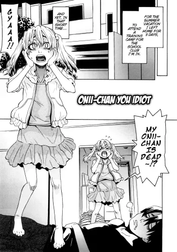 Oniichan You Idiot manga cover