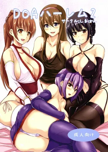 (C81) [ShimaPan (Ominaeshi)] DOA Harem 2 (Dead or Alive) [English] {QBtranslations} manga cover