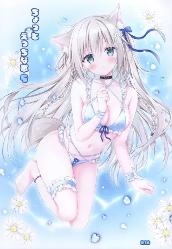 (C102) [Muzin Syoujo (Korie Riko)] Chotto Ecchi na Hon 5 (Various) manga cover