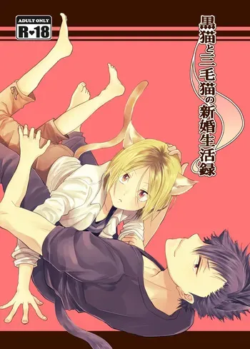 [Nabahaze (Kurosuke)] Kuroneko to Mikeneko no Shinkon Seikatsuroku (Haikyuu!!) [Digital] manga cover