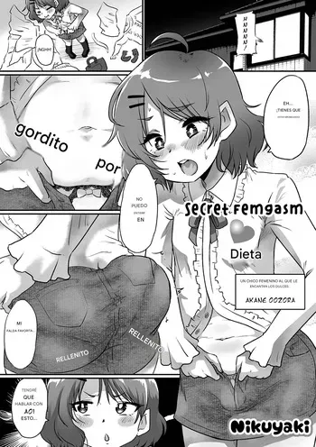 [Nikuyaki] Himitsu no Mesuiki Diet Español manga cover