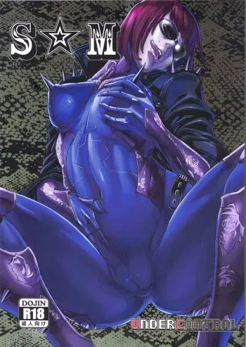 (C83) [UNDER CONTROL (zunta)] S★M (Anarchy Reigns) [English] manga cover