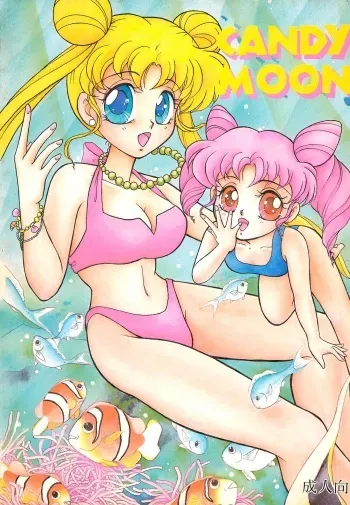 (C44) [N] CANDY MOON (Bishoujo Senshi Sailormoon) manga cover