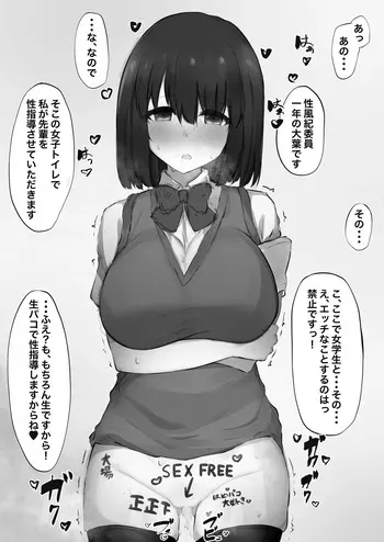 [ああもうそういうことになる] 性風紀委員ちゃん manga cover
