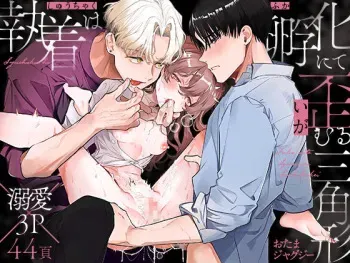 [おたまジャグジー (たまの父)] 執着は孵化にて歪むる三角形 manga cover