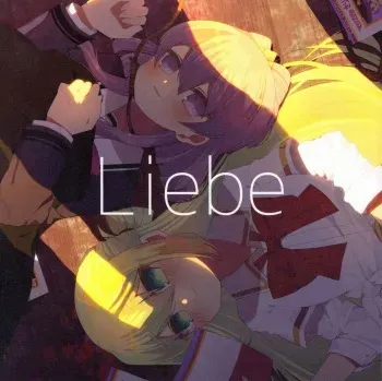 [Leichenzug_03] Liebe (Puella Magi Madoka Magica Side Story Magia Record) manga cover