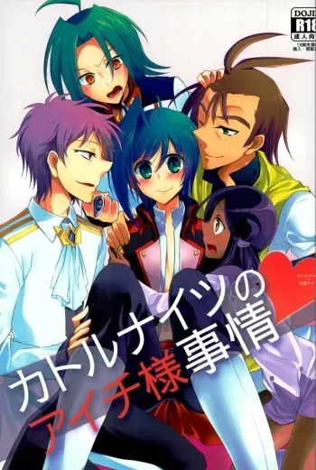 (Stand Up! 12) [Gum Tape Type (Nauchi)] Quatre Knights no Aichi-sama Jijou (Cardfight!! Vanguard) manga cover