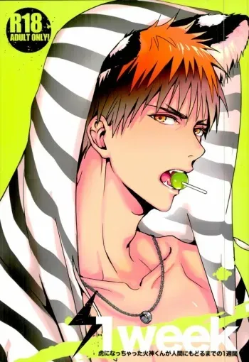(C88) [FUJIKO (Toriotokonokyoufu)] 1week (Kuroko no Basuke) manga cover
