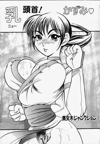 [Bijogi Junction] Nyuutou Kubi! Kasumi (Dead or Alive) manga cover