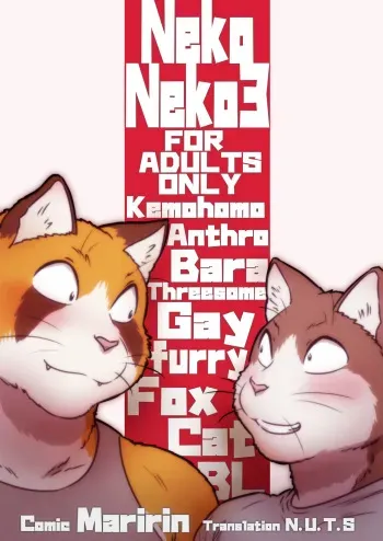 [Maririn] Neko x Neko 3 [R18][Pro Eng ver.] manga cover