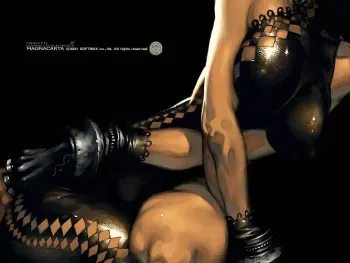 Dead or Alive Lei Fang manga cover