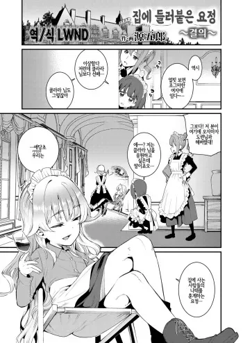 [Gengorou] Ie ni Tsuku You ~Ketsui~ (Towako 8) [Korean] [LWND] [Digital] manga cover