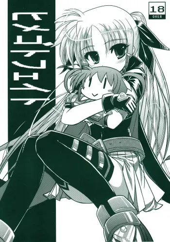 (SC35) [12-Jigen (Meshi)] Himegoto Fate (Magical Girl Lyrical Nanoha) manga cover