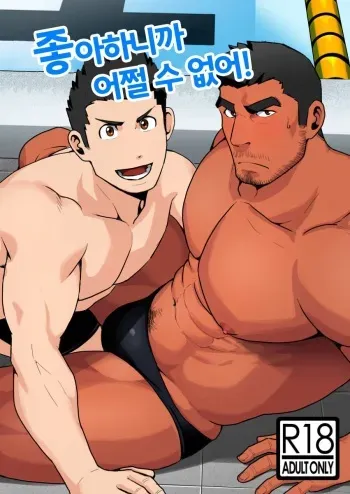 [Higeudon (Sakuramaru)] Suki nan dakara Shou ga Nai | 좋아하니까 어쩔 수 없어 Alt. [Korean] [???] [Digital] manga cover