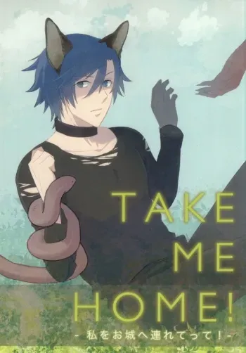 [CaPiBa (Mikawa Mimi)] Watashi o Oshiro e Tsuretette! - TAKE ME HOME! (Uta no Prince-Sama) manga cover