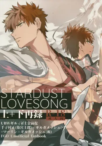 [SpringLOVE](Mottled) STARDUST LOVESONG top + bottom reprint (Fate/Grand Order) manga cover