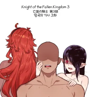 Knight of the Fallen Kingdom 3 manga cover