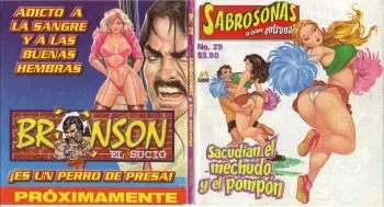 Sabrosonas 29 (Spanish) manga cover