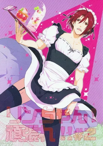Rin-chan! Ganbare!! #2 manga cover